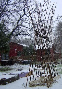 trellis from scrap bamboo sticks