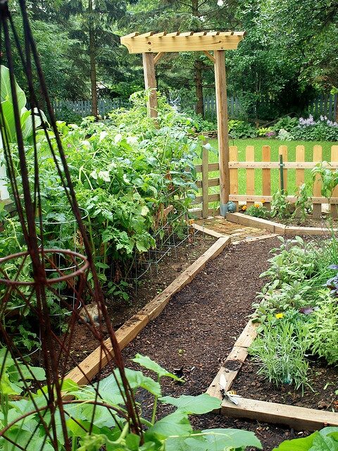Vegetable garden garden designs