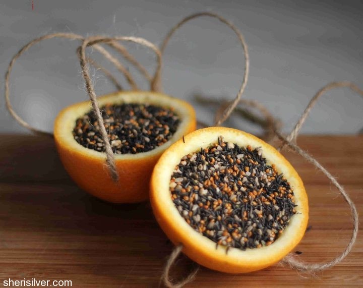 Very easy and natural way to feed the birds – fill an empty orange half with seed and hang with twine! via Donuts, Dresses, and Dirt
