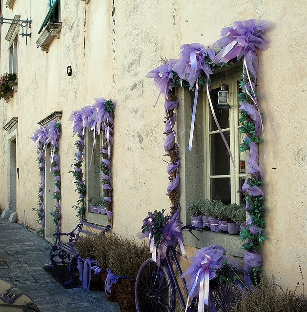 house of lavender, Italy