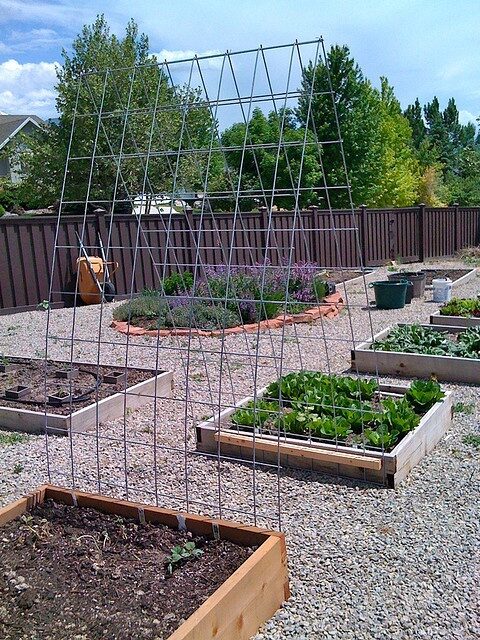 Arch between the beds for cucumbers and beans to grow on