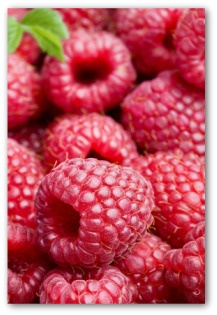 Growing Red Raspberries, Planting Raspberries, How to Grow Raspberries