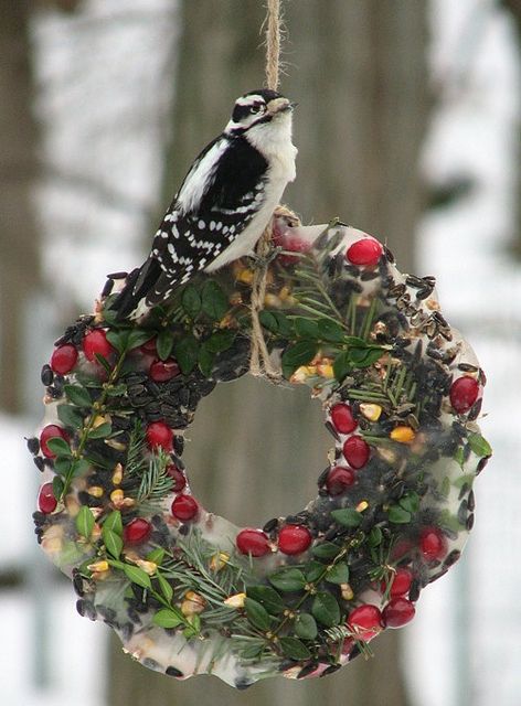 For the birds ~