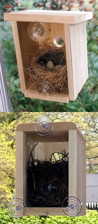 Beautiful Window bird house