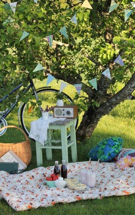 a lovely picnic