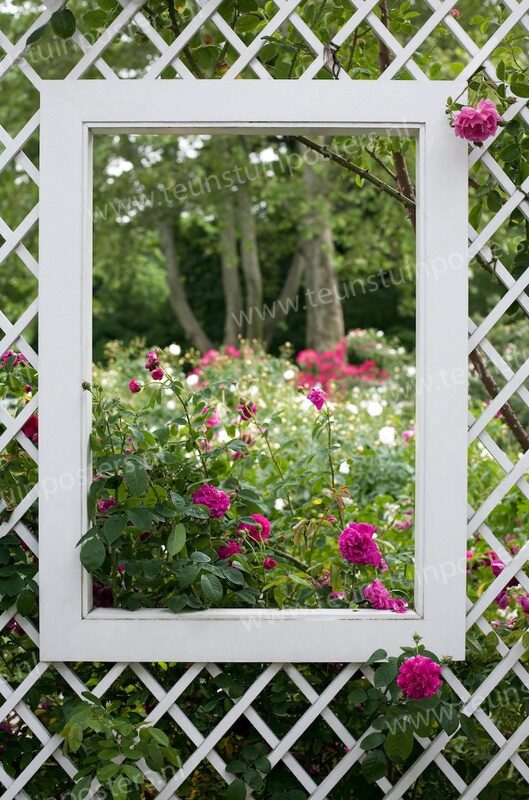 Picture framed garden!