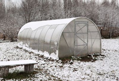 Winter Growing: Heating Your Greenhouse | Planet Natural