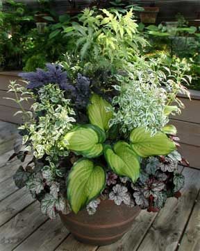 Shade planter