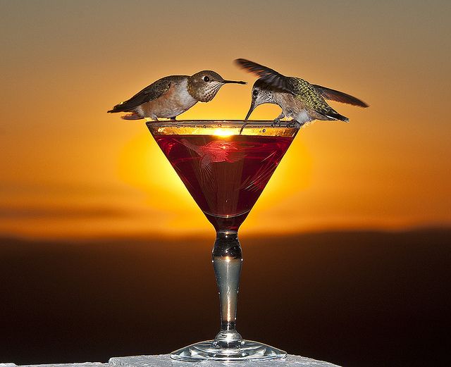 I never thought about just putting the nectar in a clear glass. Great idea and will have to try this.