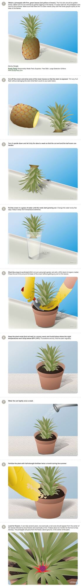 I just bought a pineapple. Think I will give it a try.