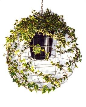 use the frame from an inexpensive paper lantern. this will look awesome once it fills in!