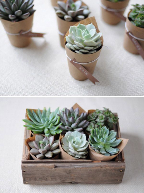 A great gift for your Christmas party guests, or to hand out at work as little Christmas gifts…