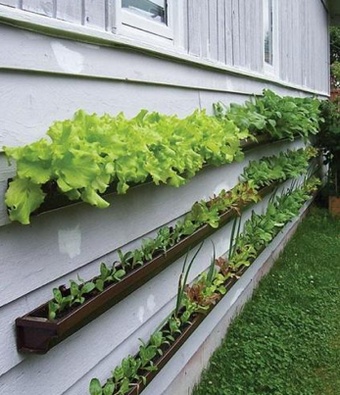 gutter planters