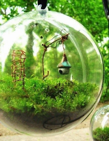 The Best DIY and Decor Place For You: Terrarium
