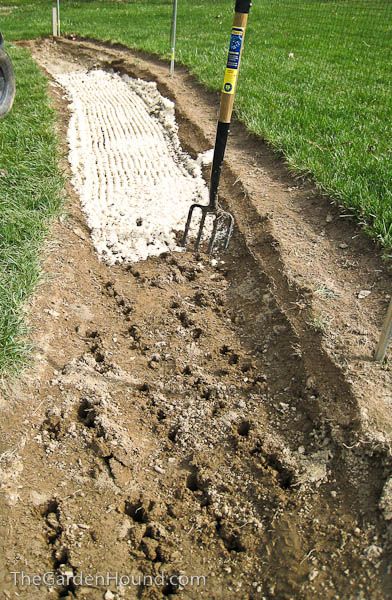Good info on permaculture  in orchard – create swales