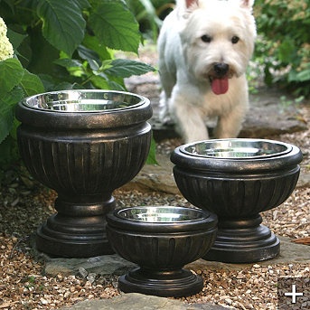 Put dog bowls in planters for a nicer look on the patio.
