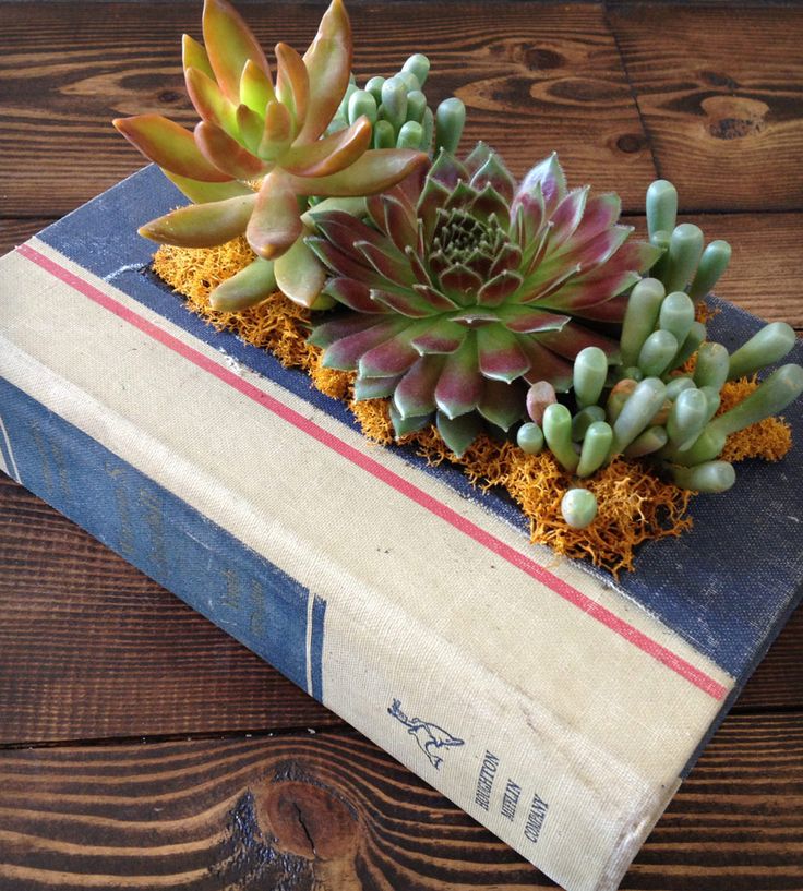 Upcycled vintage book planter