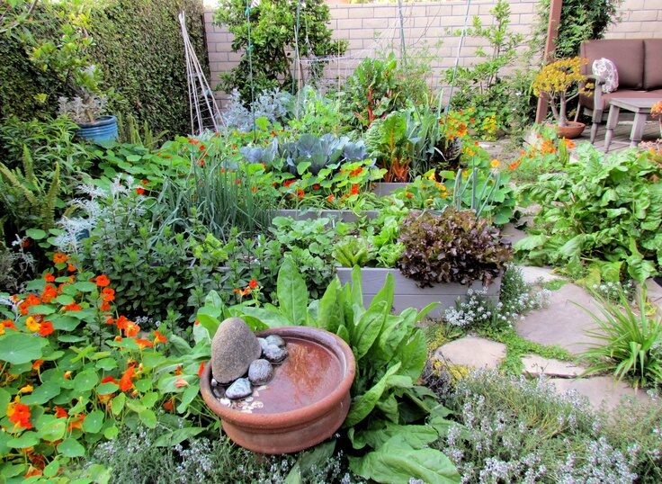 German herb and vegetable garden