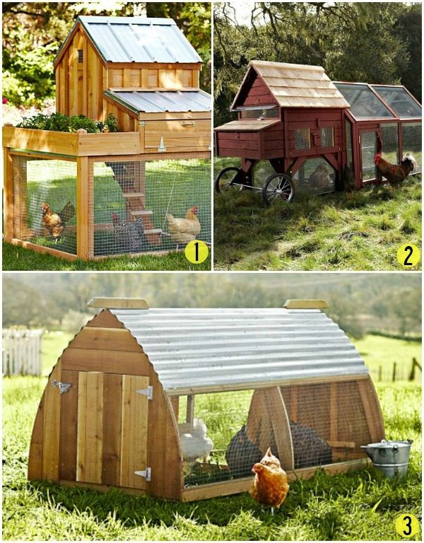Daily Discovery: Country-Inspired Chicken Coups