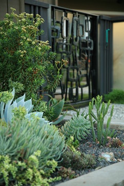 Landscape Mid Century Modern Garden Design Ideas, Pictures, Remodel, and Decor – page 12