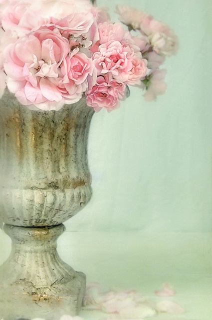 Flowers & Flowers