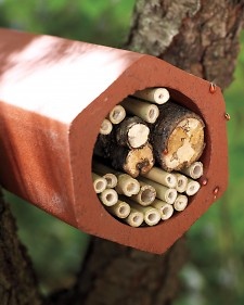 Lady bugs are a natural pest control. Keep more of them around by filling a 4″x1′ long tube with sticks. The lady bugs will make it their home and watch over your garden.