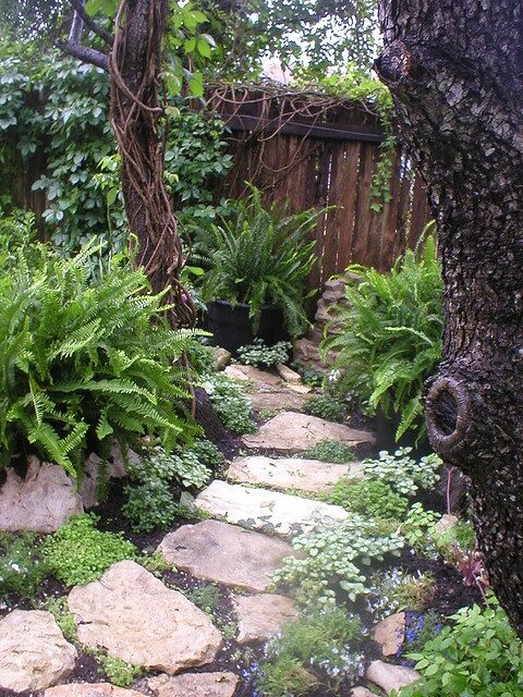 Shade garden