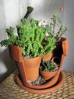 broken flower pot ideas – Google Search