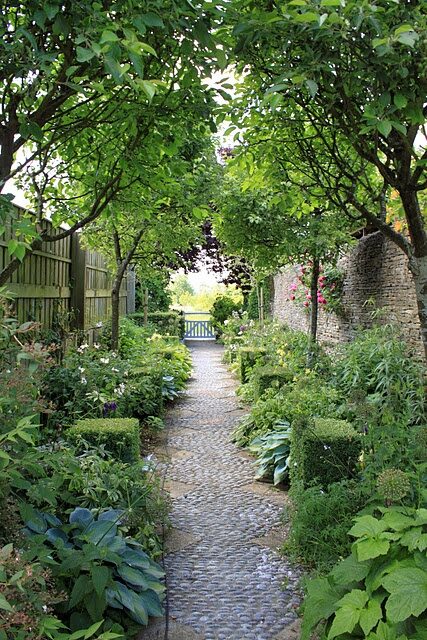 Trees in a narrow space