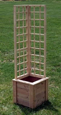 A small trellised planter perfect for patios and corner accents.  (clematis, tomatoes, morning glory…)