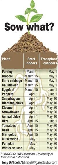 When to Sow your Seeds – Handy Printable Chart