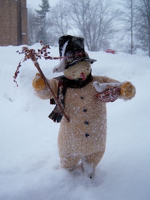 Absolutely adorable!!!  this snowman stole my heart does anybody know where I could buy him or where he came from????