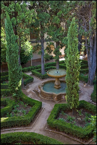 .lovely little garden