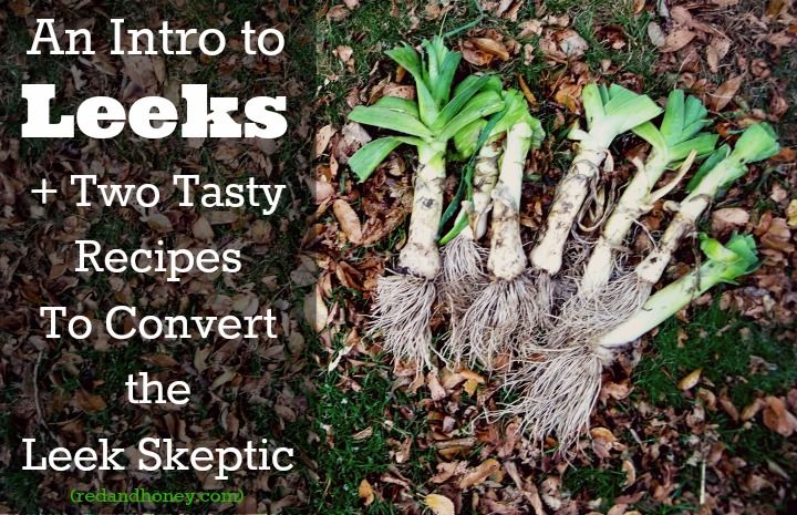 An Introduction to Leeks (And Two Tasty Recipes to Convert the Leek Skeptic)