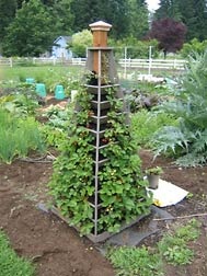 Strawberry Tower