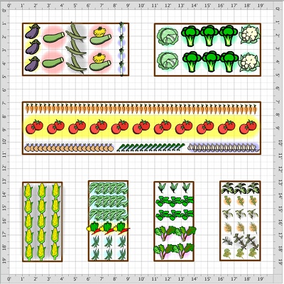 Vegetable garden design