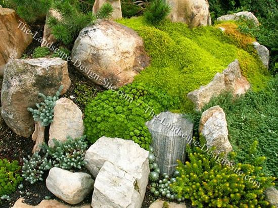 on rocks to discover how you can grow your own moss for your garden