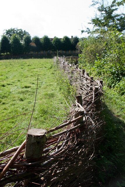 Wattle Fence
