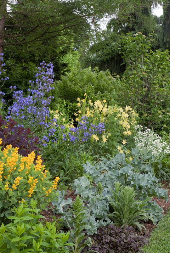 Yellow and Blue Garden