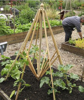 Wondering what to do with that outdoor umbrella that no longer works? Check out this upcycled outdoor umbrella turned garden trellis via Dirt Du Jour!