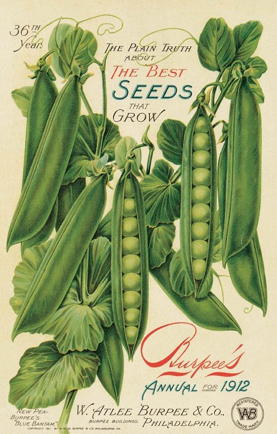 Burpee’s 1912 Annual