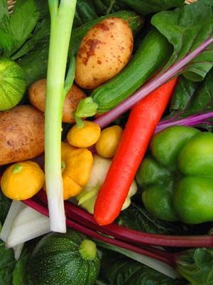 How to plan a garden for self-sufficiency and build on it each year..