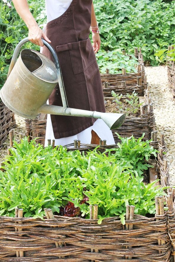 Potager