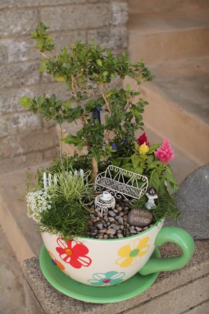 just got a clearance coffee cup planter at lowes..inspiration