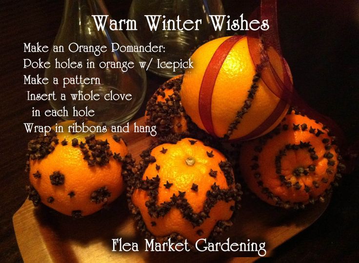 Orange & Clove Pomanders  The English word “pomander” comes from the French “pomme d’ambre”, meaning “apple of amber” used to scent clothes and linens or in my family to hang up at Christmastime. Have you done this?  You can also roll them in spices once the cloves are put on.