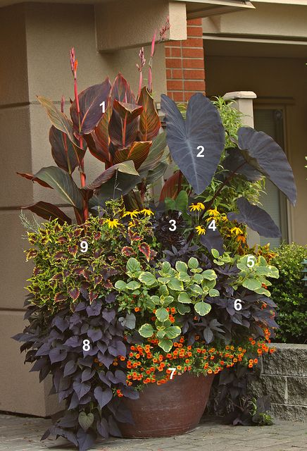 Container plantings with a list of the plants used