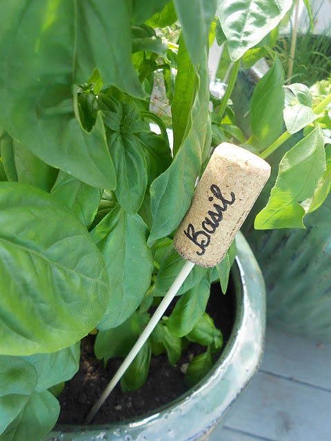 wine cork herb markers