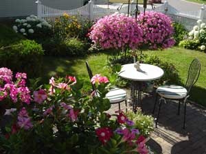Thinking Spring…….and picturing myself sitting at my bistro table sipping lemonade in the sunshine……..