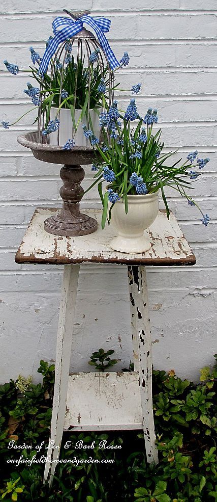 Mid-April ~ Spring in full swing!