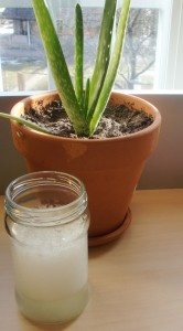 How to make Aloe Vera Gel.